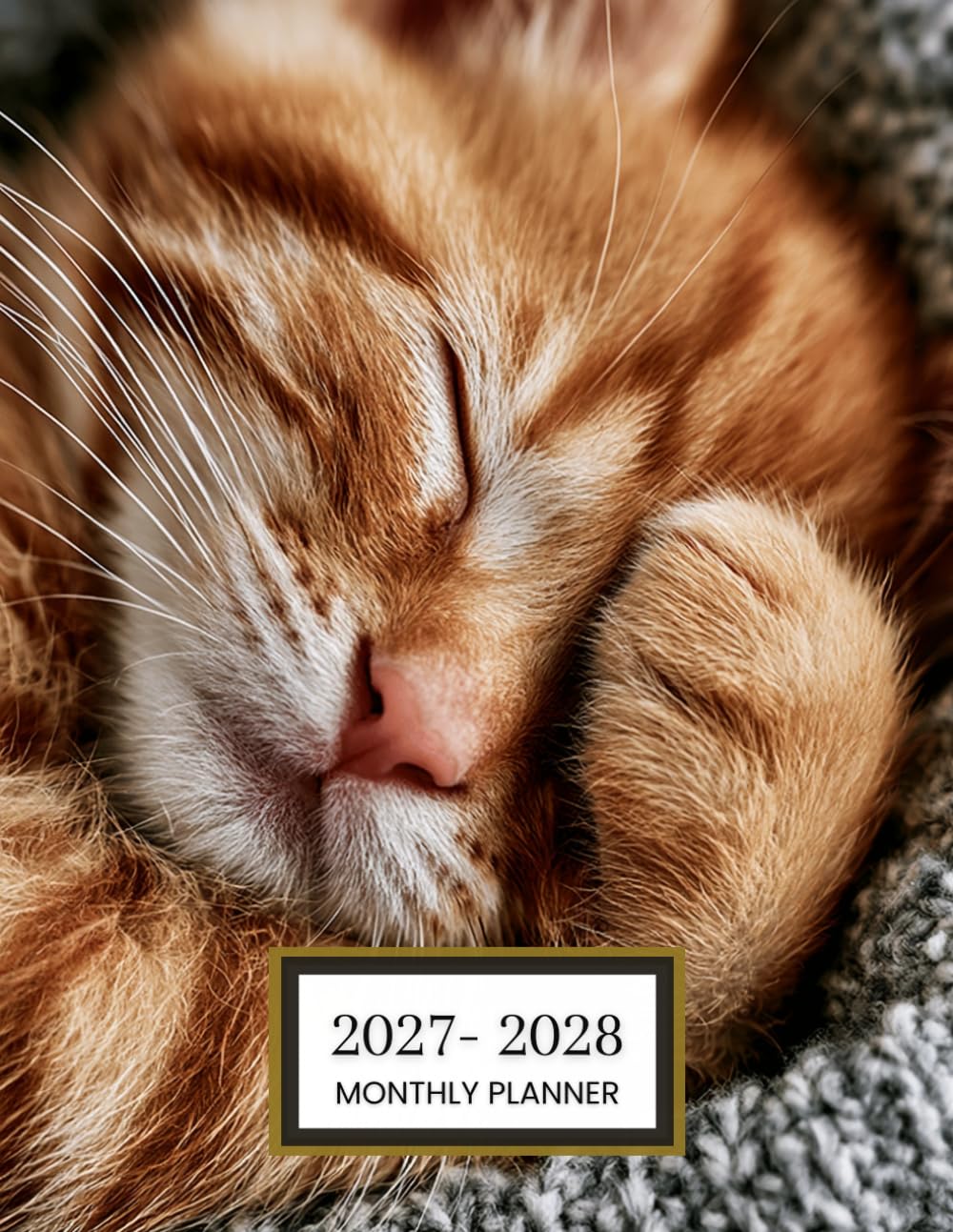 ler totalmente 2027-2028 Monthly Planner: 2 Year Ginger Cat Organizer with Holiday Reminders