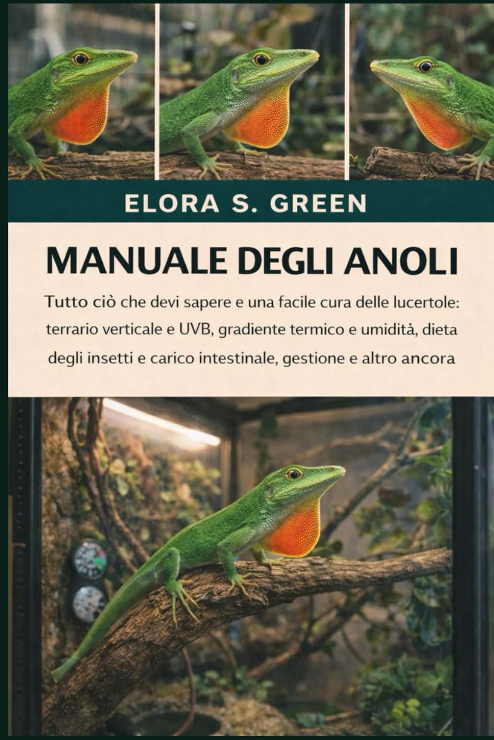 Manuale Degli Anoli: Tutto ciò che devi sapere e una facile cura delle lucertole: terrario verticale e UVB, gradiente termico e umidità, dieta degli... e carico intestinale, gestione e altro ancora baixar o livro de graça