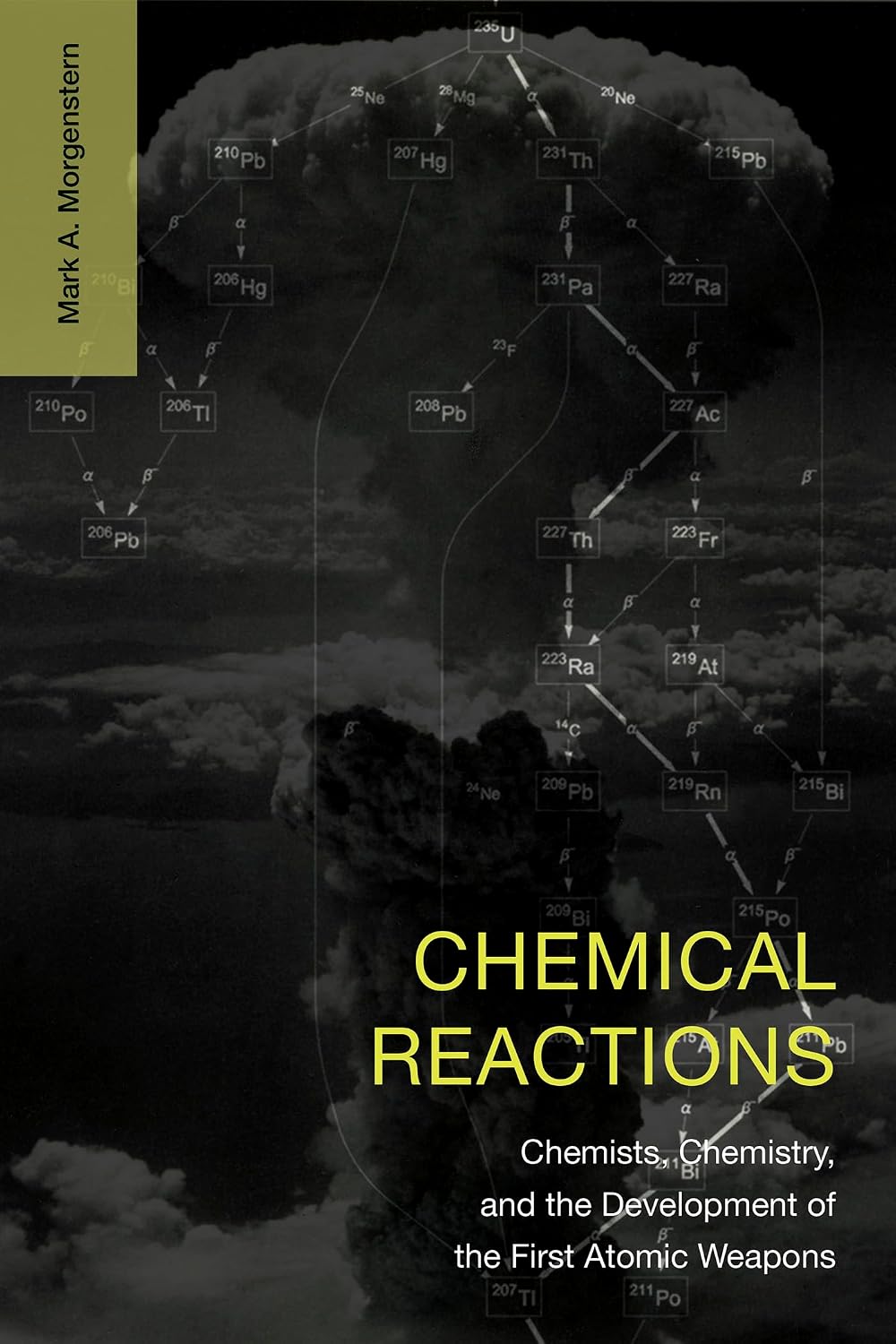 ler totalmente Chemical Reactions: Chemists, Chemistry, and the Development of the First Atomic Weapons