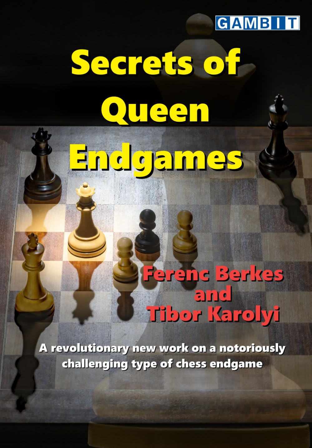 Secrets of Queen Endgames (Secrets of Chess Endings) baixar livro de graça