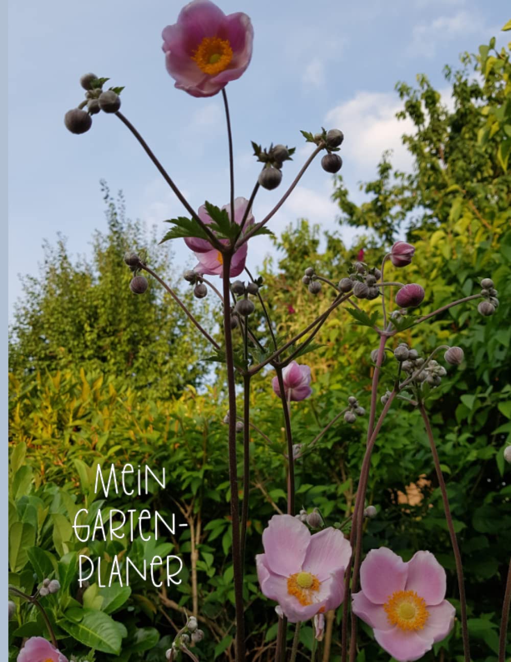 Mein Gartenplaner 2023: Gartenkalender Dez. 2022 bis März 2023 | Beetplanung | Pflanzliste (Summselbrummsel) (German Edition) baixar livro de graça