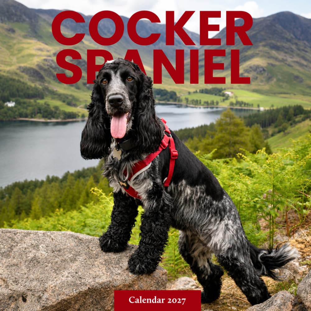Cocker Spaniel Dogs Calendar 2027: Spaniel Dog Photography