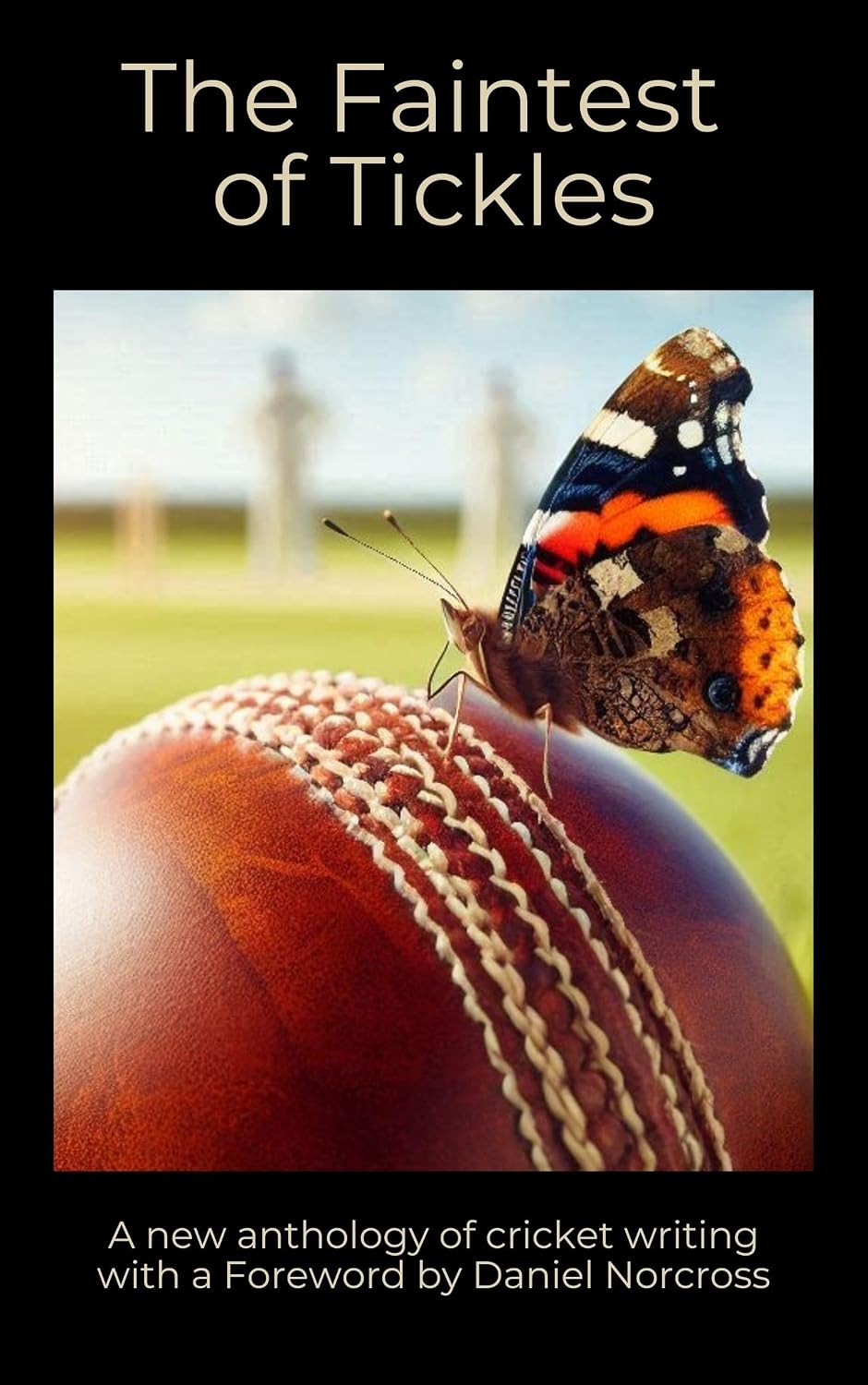 capítulo por capítulo baixar The Faintest of Tickles: A new anthology of cricket writing (English Edition)