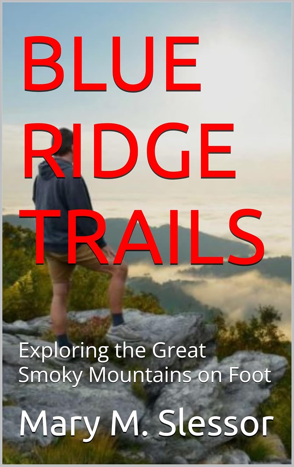 ler totalmente BLUE RIDGE TRAILS: Exploring the Great Smoky Mountains on Foot (English Edition)