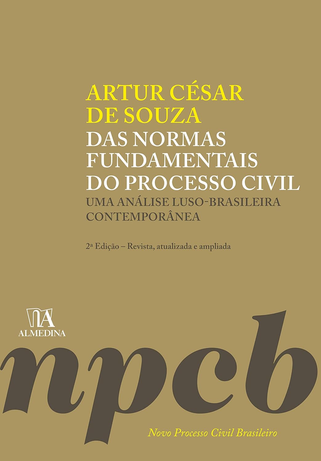 capítulo por capítulo baixar Das normas fundamentais do processo civil: uma análise luso-brasileira contemporânea