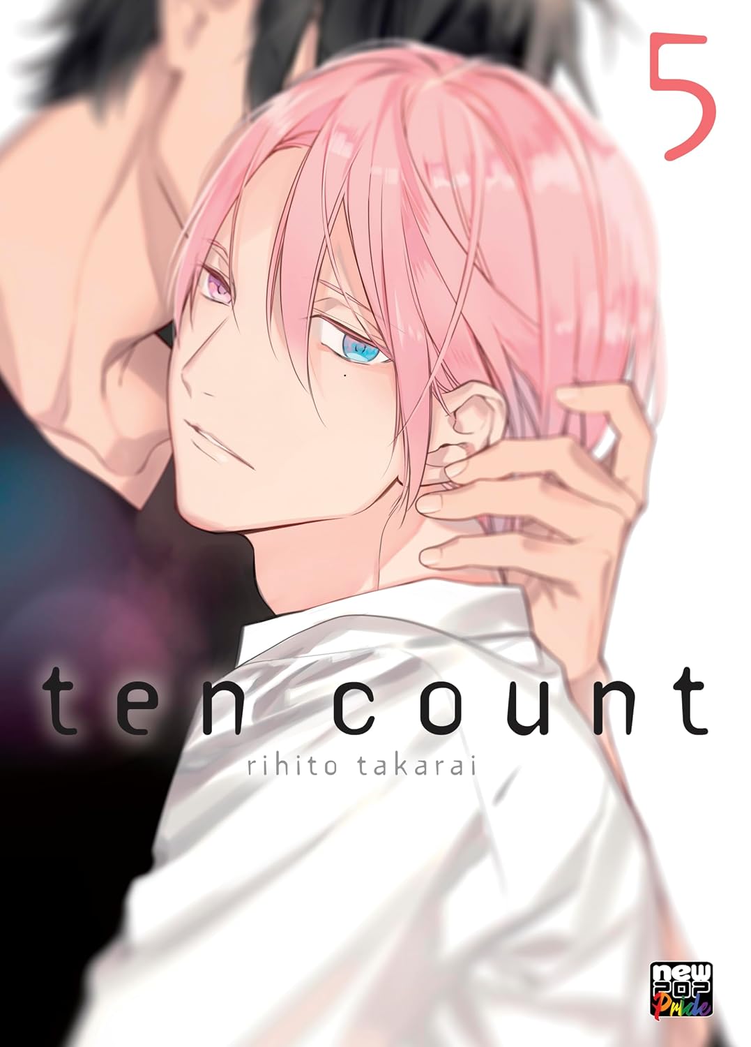 Ten Count: Volume 5 baixar livro de graça