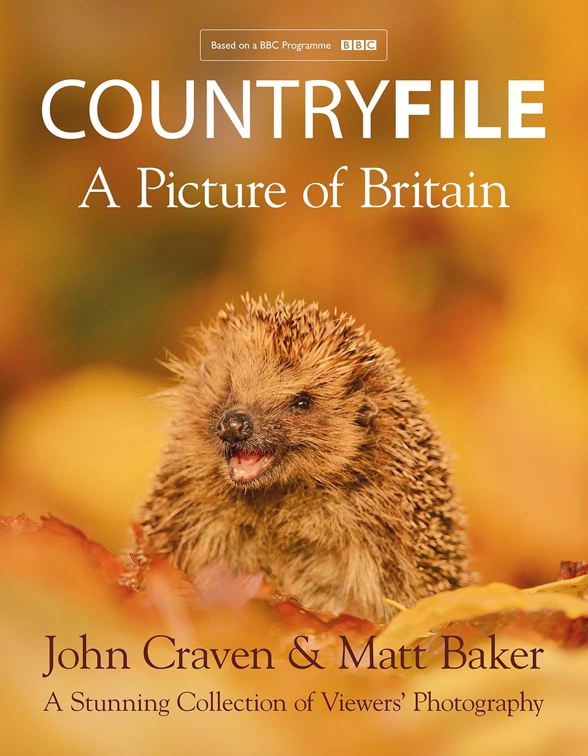Countryfile – A Picture of Britain: A Stunning Collection of Viewers’ Photography (English Edition) baixar o livro de graça