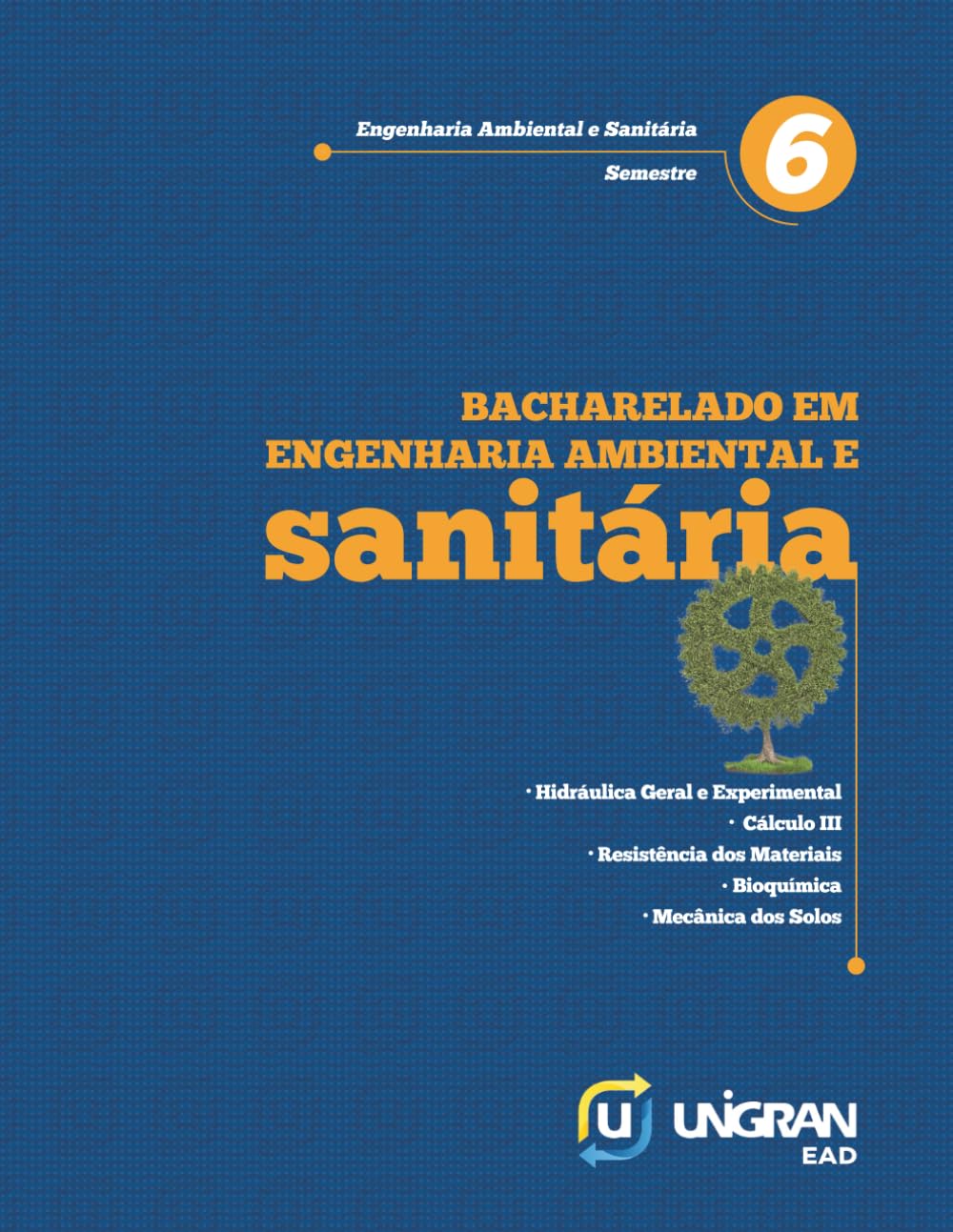 Sanitária 6: Unigran EAD 26.1.1 (Portuguese Edition)
