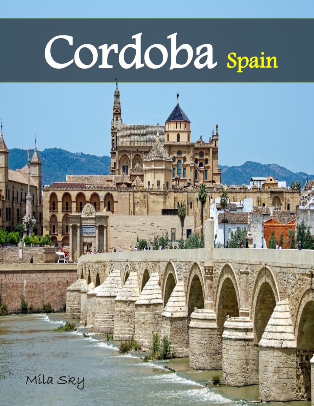 capítulo por capítulo baixar Cordoba Spain: A Luxury Coffee Table Book of Iconic Landmarks