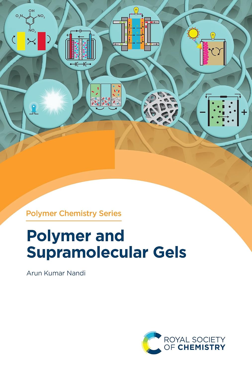 Polymer and Supramolecular Gels (English Edition)