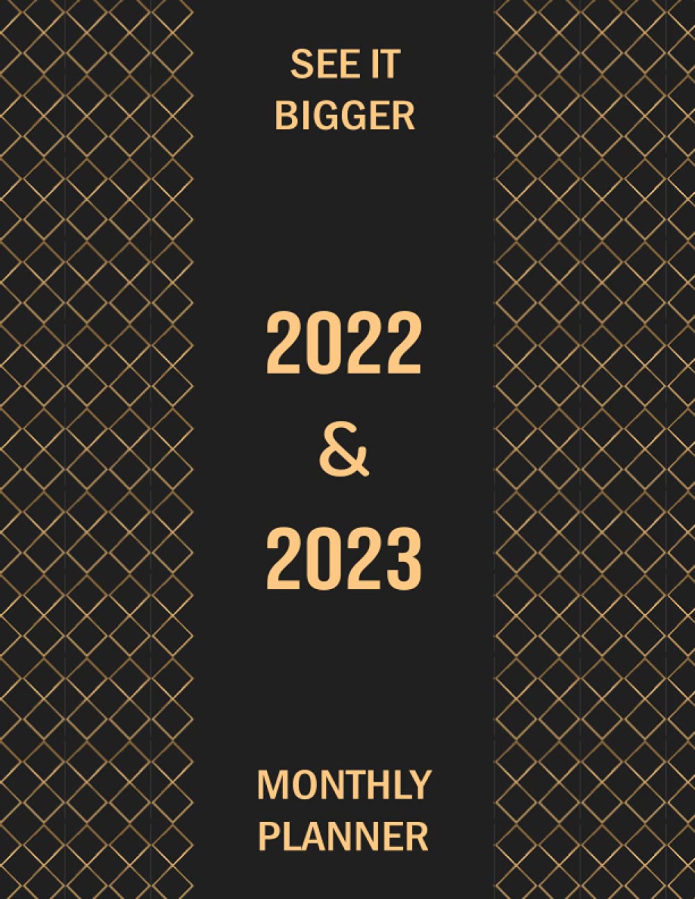 2022-2023 Two Year Monthly Planner: 22-23 Monthly Planner Calendar Organizer, For Men Women, January 2022 to December 2023, 24 Months, Elegant Black Cover baixar o livro de graça