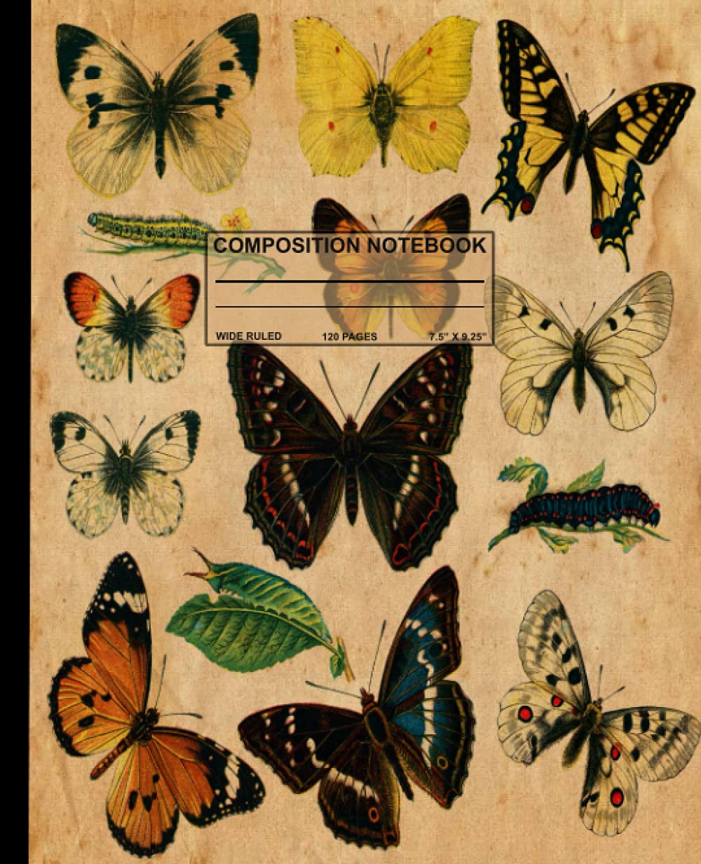 Composition Notebook Vintage Butterfly Wide Ruled: Colorful Butterfly Pattern Lined Workbook for Girls Boys Kids Teens Students | Wide Ruled Lined... Composition Notebook | 120 Pages 7.5” x 9.25” baixar livro de graça