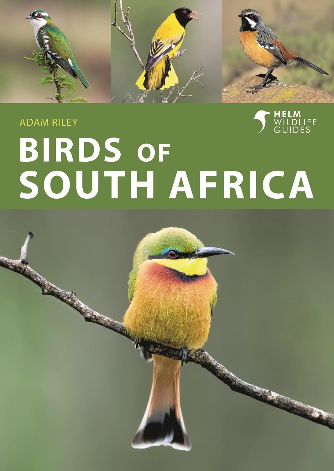 Birds of South Africa baixar o livro de graça
