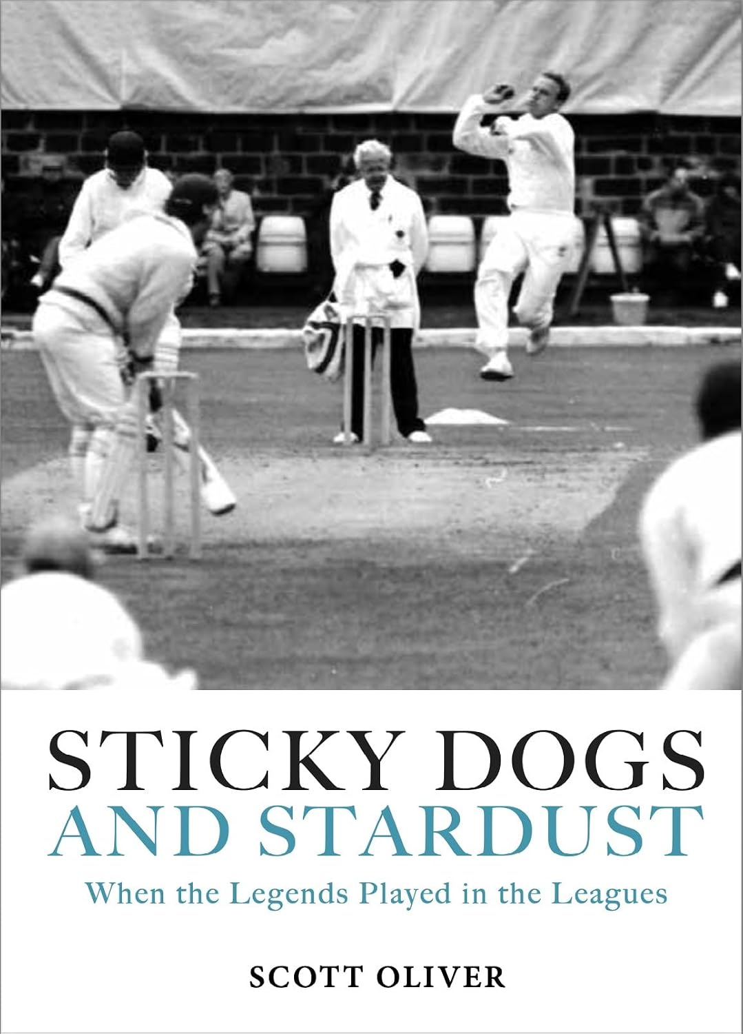 ler totalmente Sticky Dogs and Stardust: When the Legends Played in the Leagues (English Edition)
