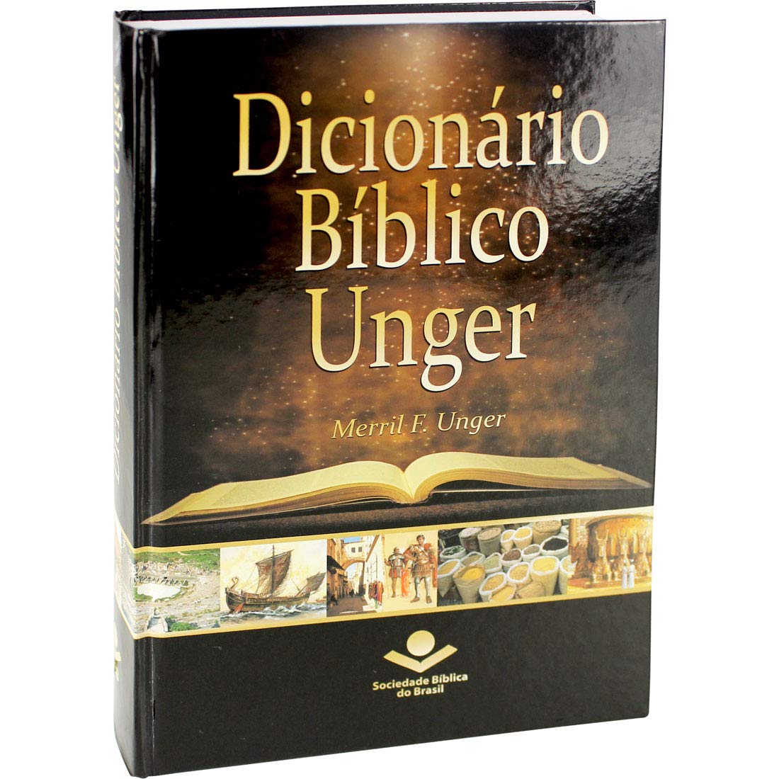 Dicionário Bíblico Unger: Edição Acadêmica baixar livro de graça