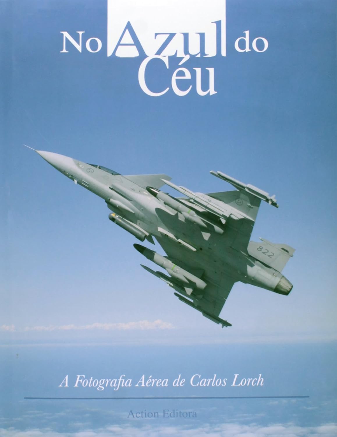 No Azul do Céu. A Fotografia Aérea de Carlos Lorch baixar o livro de graça