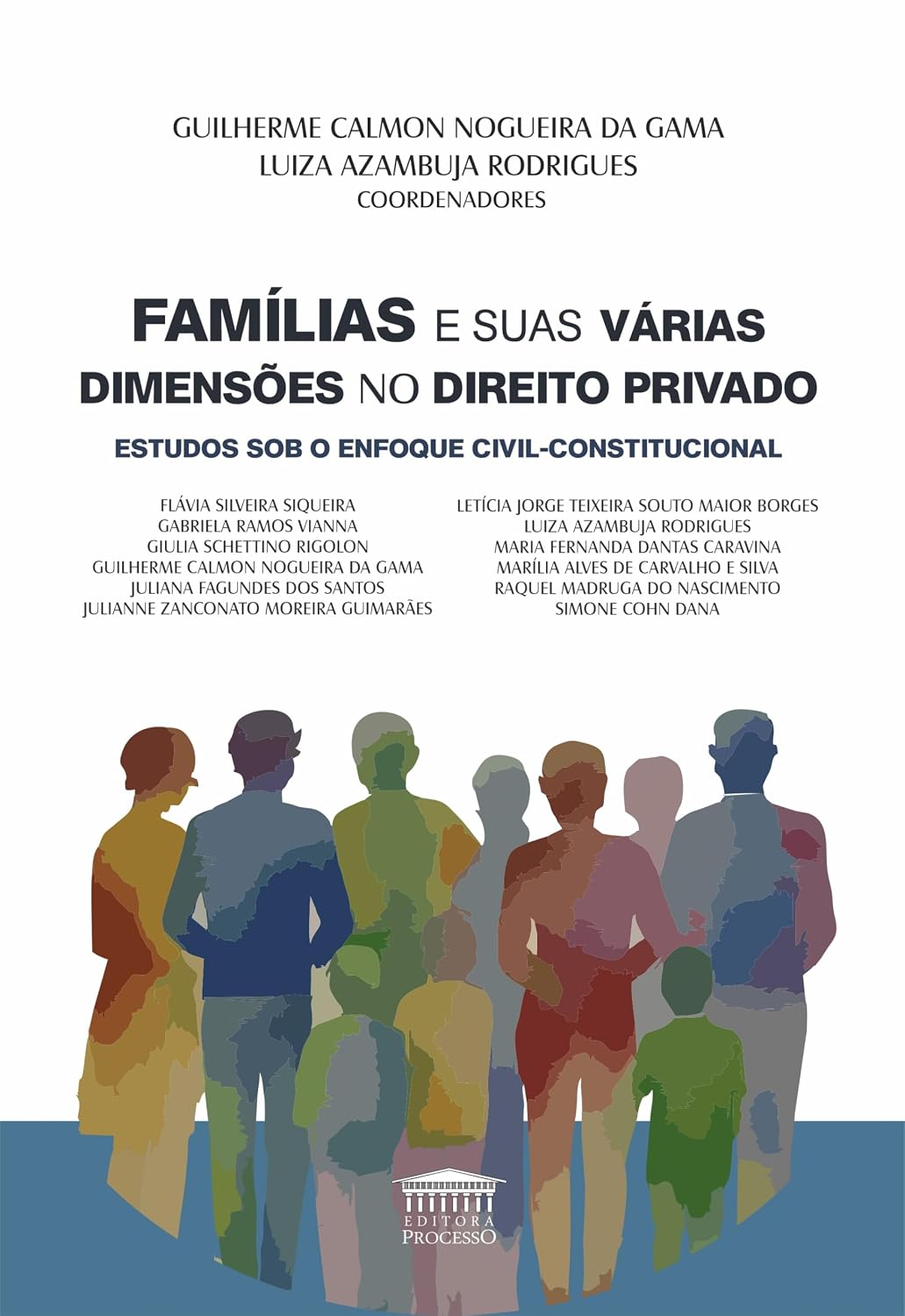 Famílias e Suas Várias Dimensões no Direito Privado - Estudos sob o Enfoque Civil-constitucional baixar o livro de graça