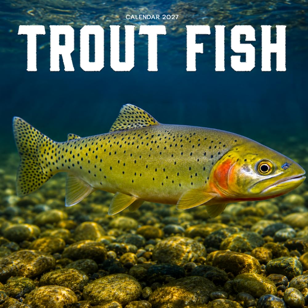Trout fish Calendar 2027: Freshwater Fish and River Scenes