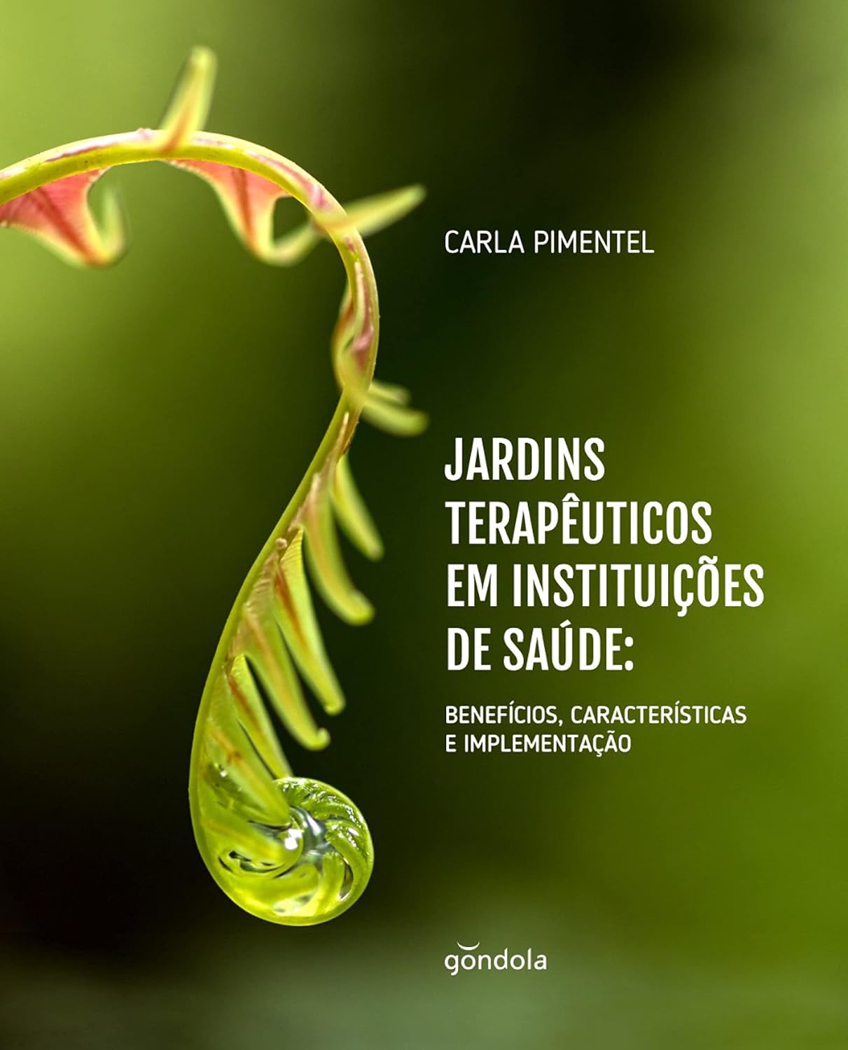 Jardins terapêuticos em instituições de saúde: benefícios, características e implementação baixar livro de graça