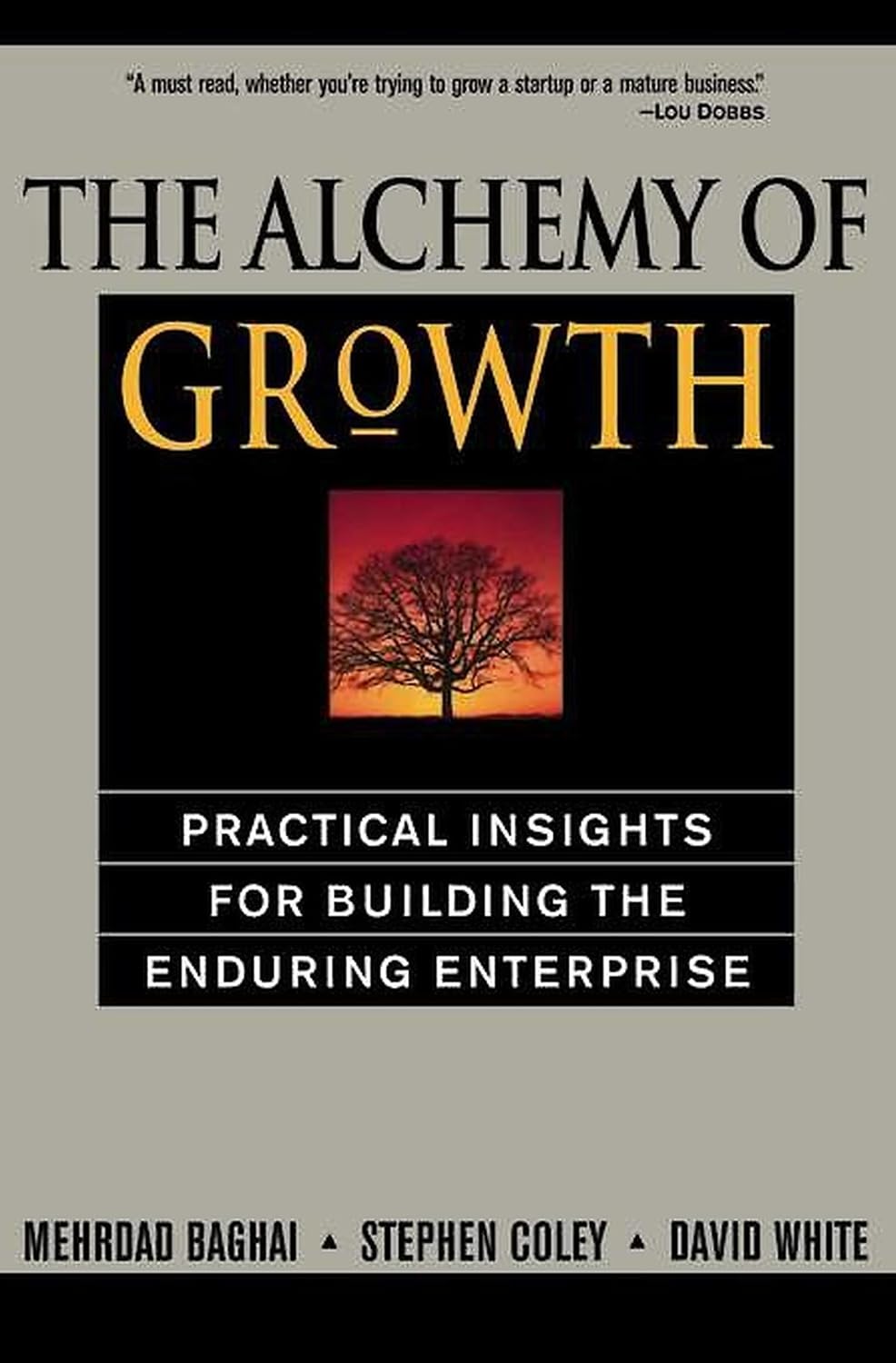 ler totalmente The Alchemy of Growth: Practical Insights for Building the Enduring Enterprise