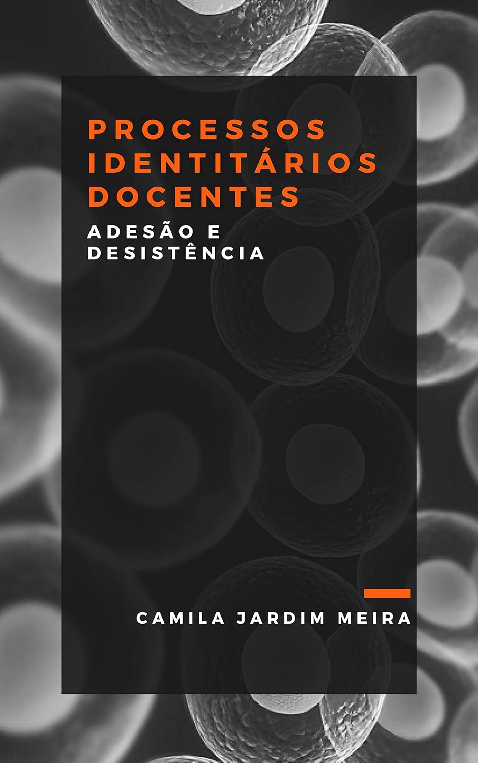 ler totalmente PROCESSOS IDENTITÁRIOS DOCENTES: adesão e desistência