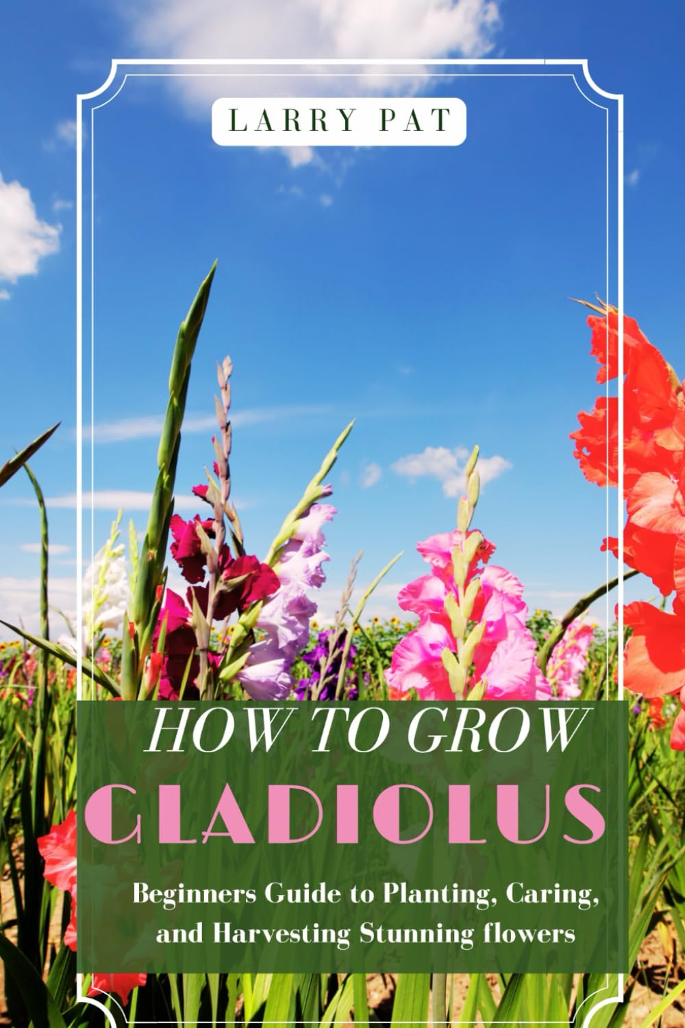 ler totalmente How to Grow Gladiolus: Beginners guide to planting, caring and harvesting stunning flowers