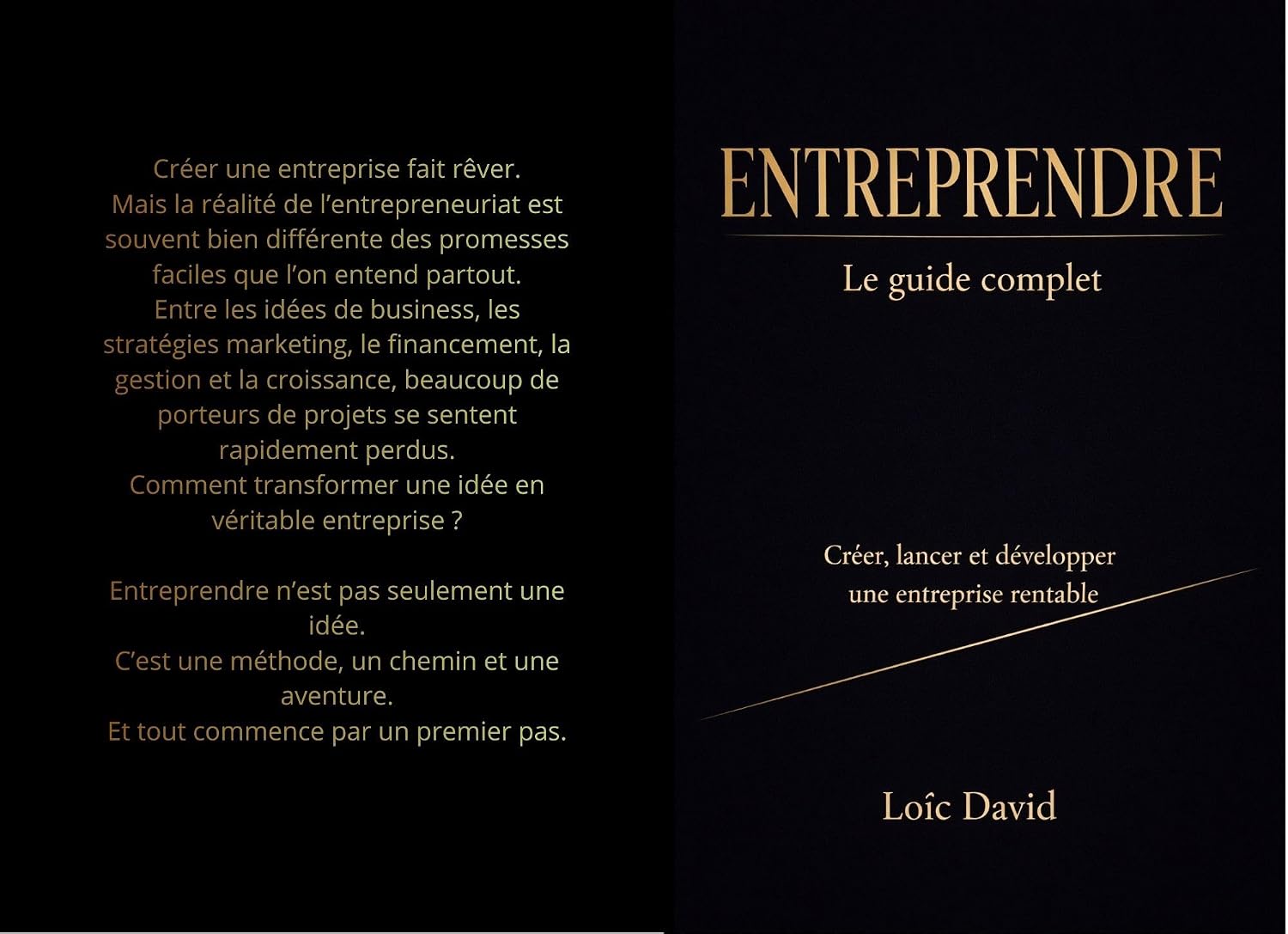Entreprendre, le guide complet: Créer, lancer et développer une entreprise rentable (French Edition) baixar o livro de graça
