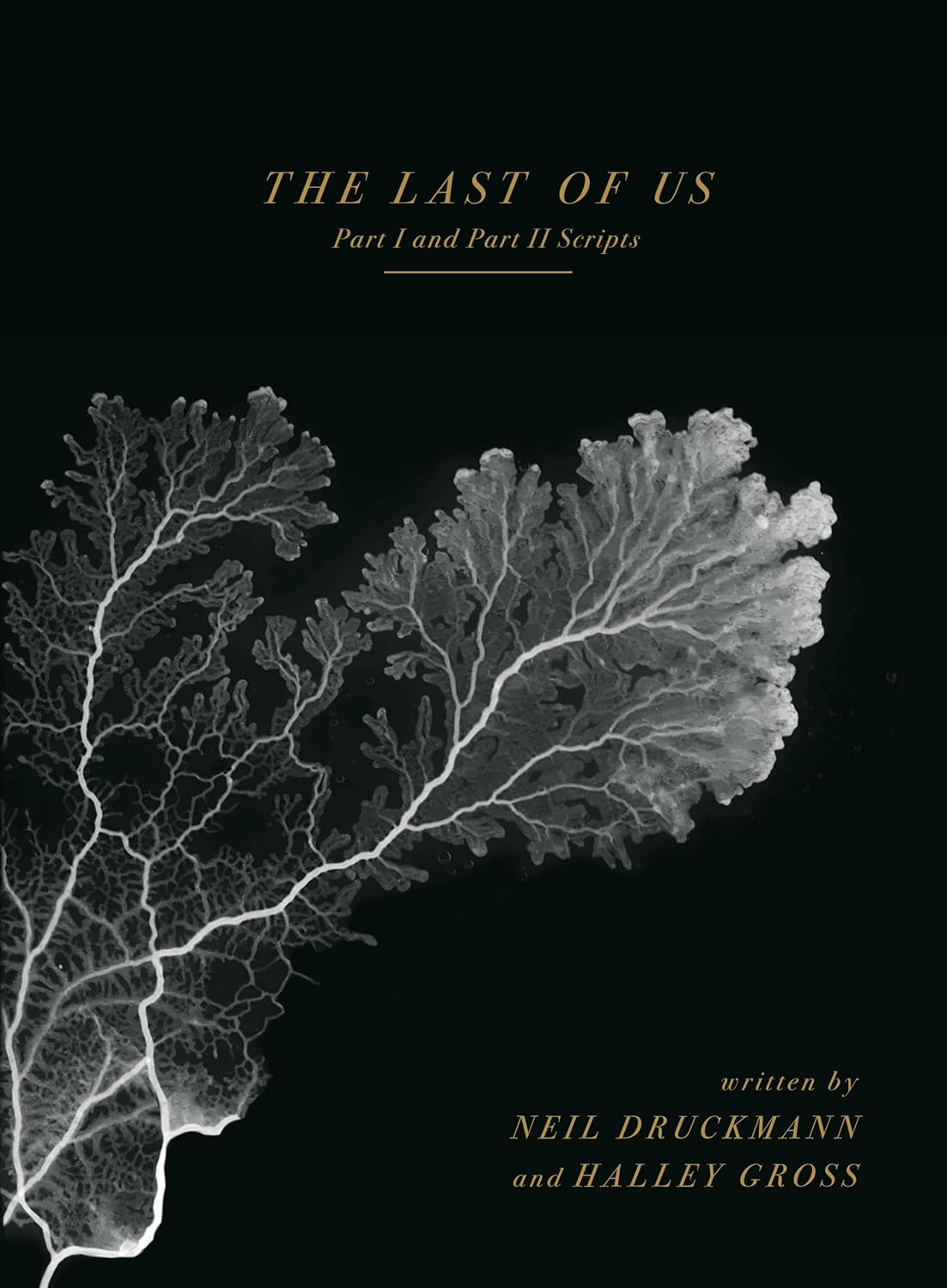 ler totalmente The Last of Us: Part I and Part II Scripts