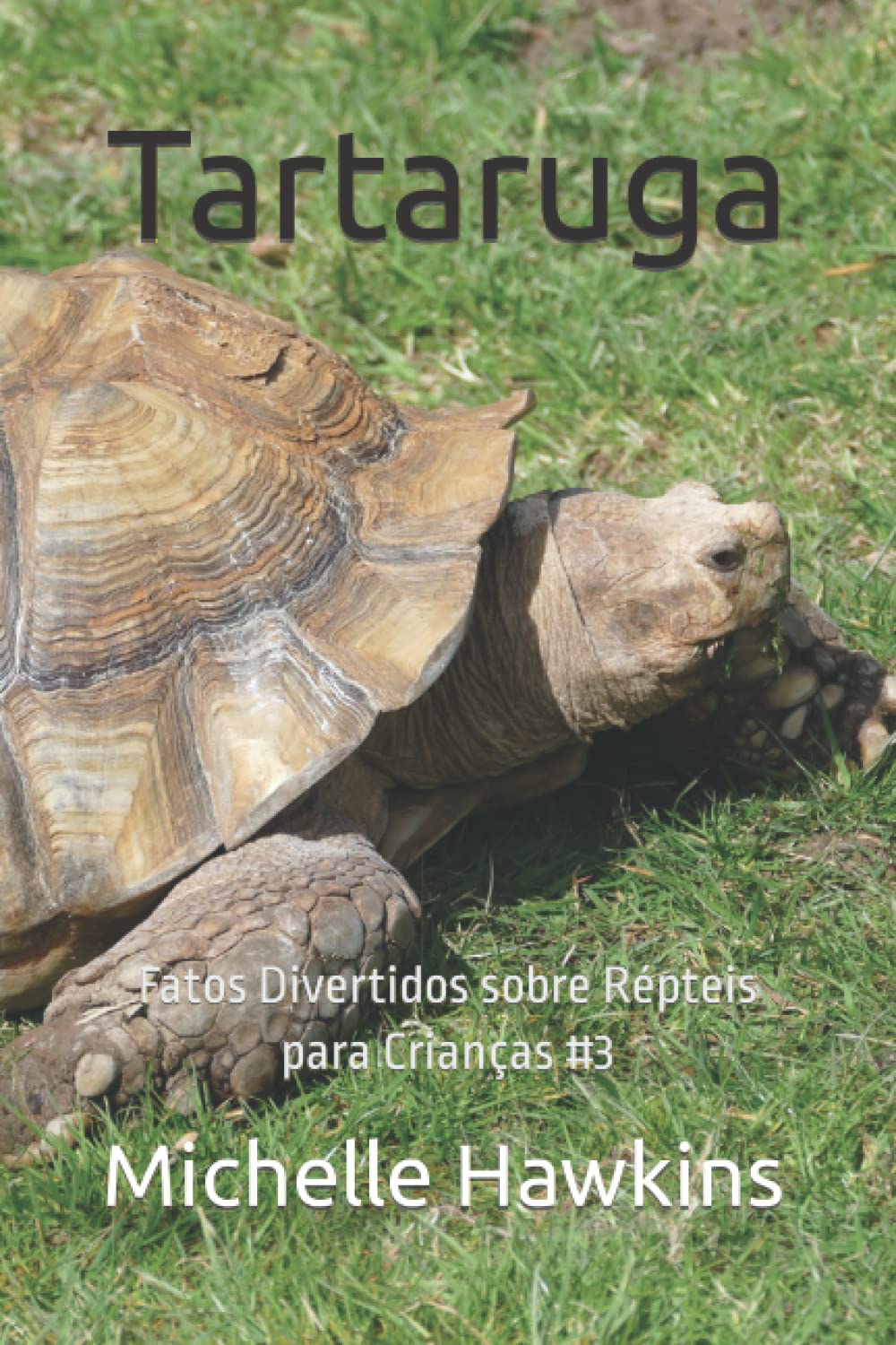 Tartaruga: Fatos Divertidos sobre Répteis para Crianças #3 (Portuguese Edition) baixar livro de graça