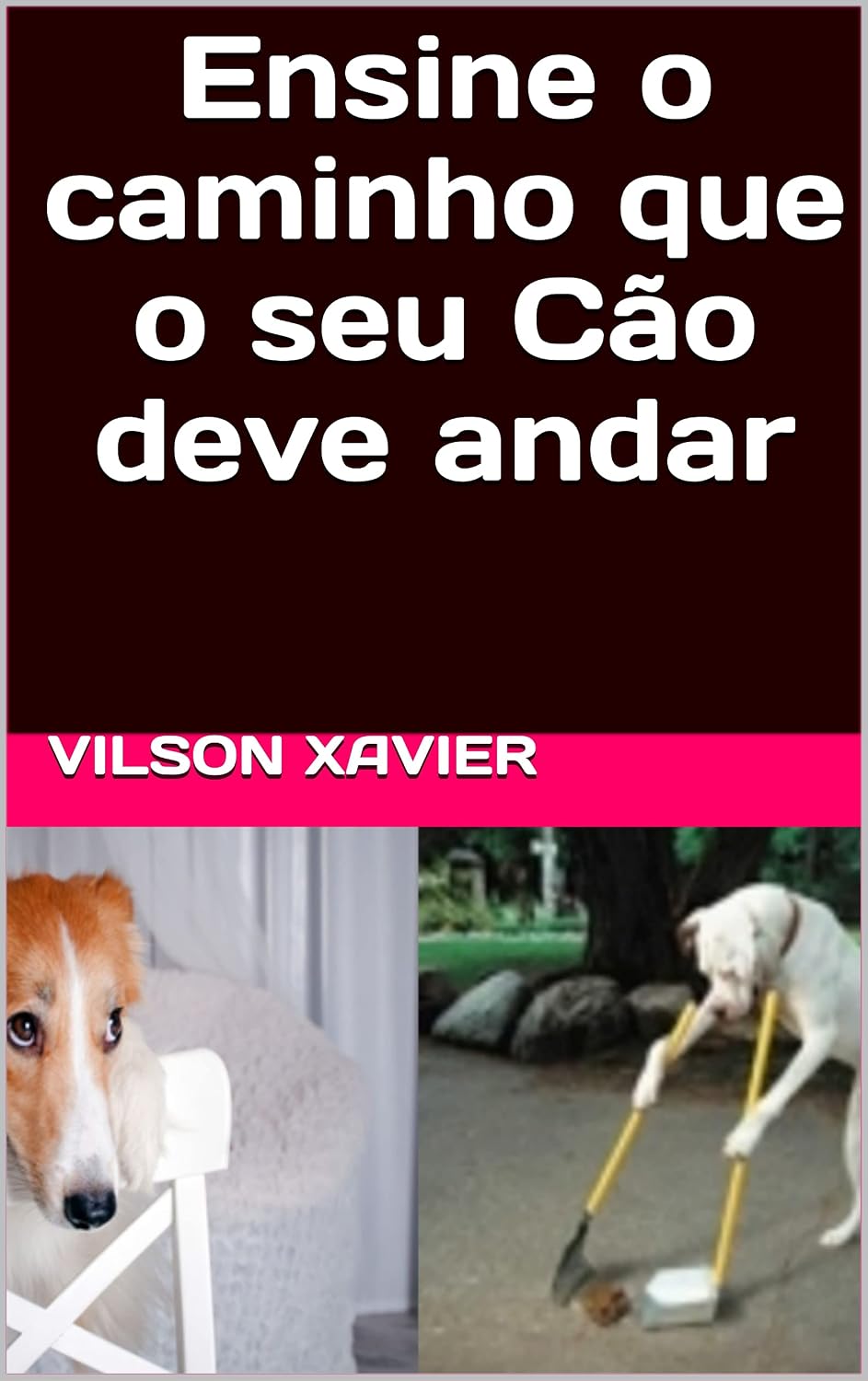 capítulo por capítulo baixar Ensine o caminho que o seu Cão deve andar