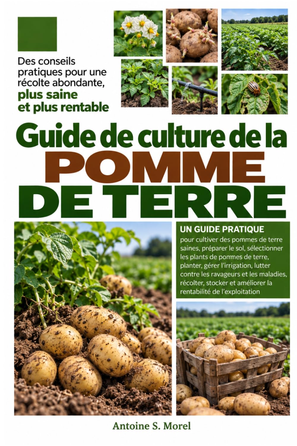 ler totalmente GUIDE DE CULTURE DE LA POMME DE TERRE: Un guide pratique pour cultiver des pommes de terre saines, préparer le sol, sélectionner les plants de pommes... et les maladies, récol (French Edition)