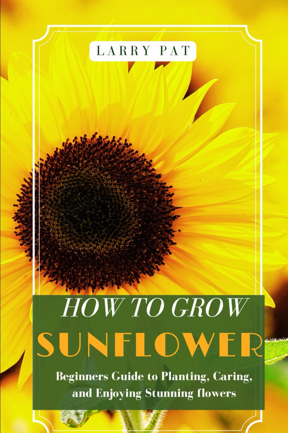 HOW TO GROW SUNFLOWER: Beginners guide to planting, caring and harvesting stunning flowers