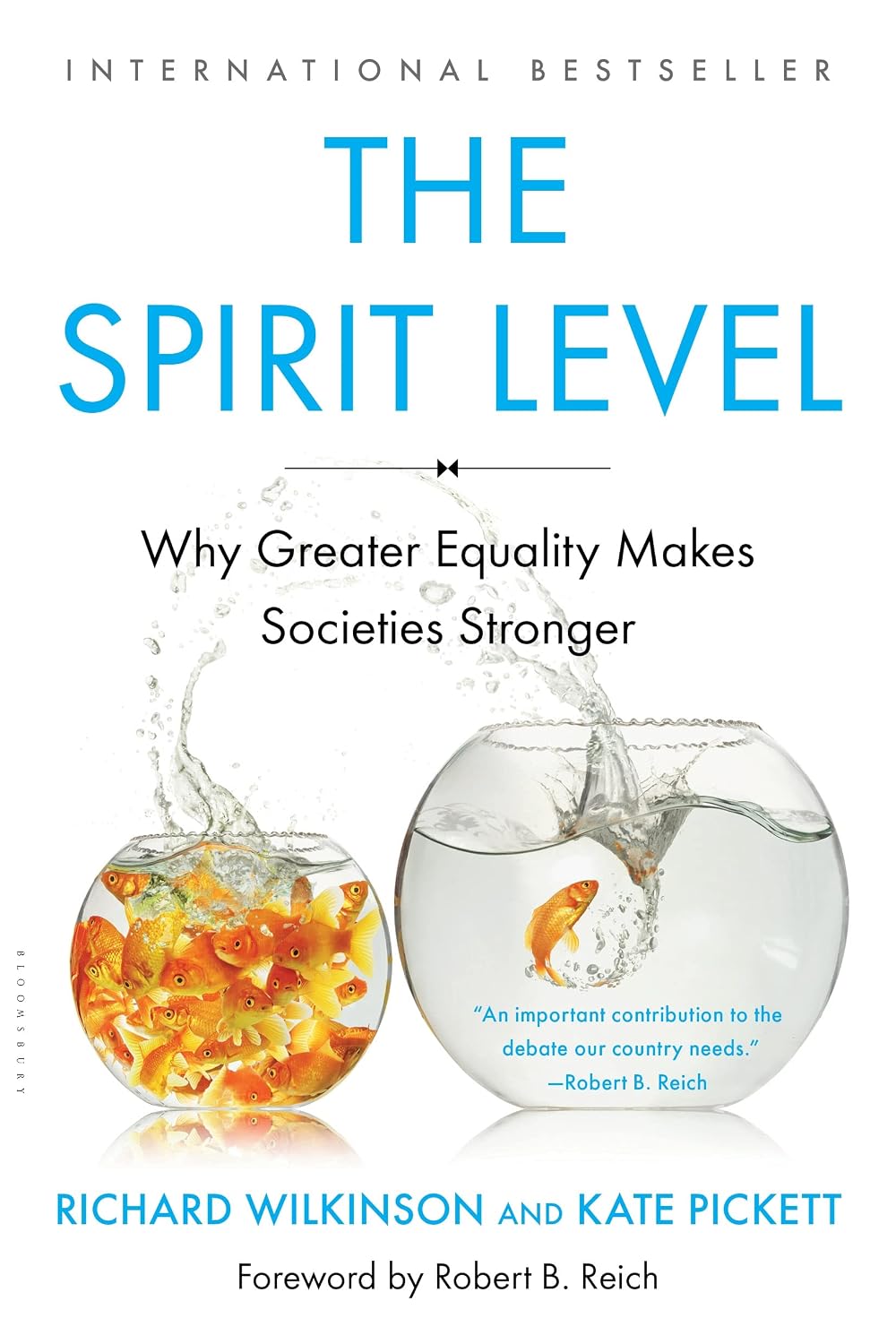 capítulo por capítulo baixar The Spirit Level: Why Greater Equality Makes Societies Stronger
