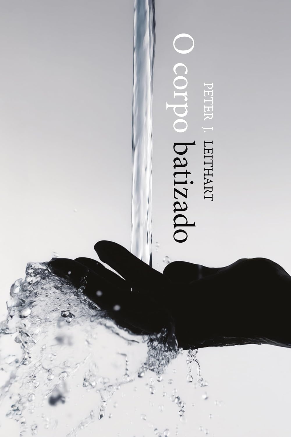 O corpo batizado baixar o livro de graça
