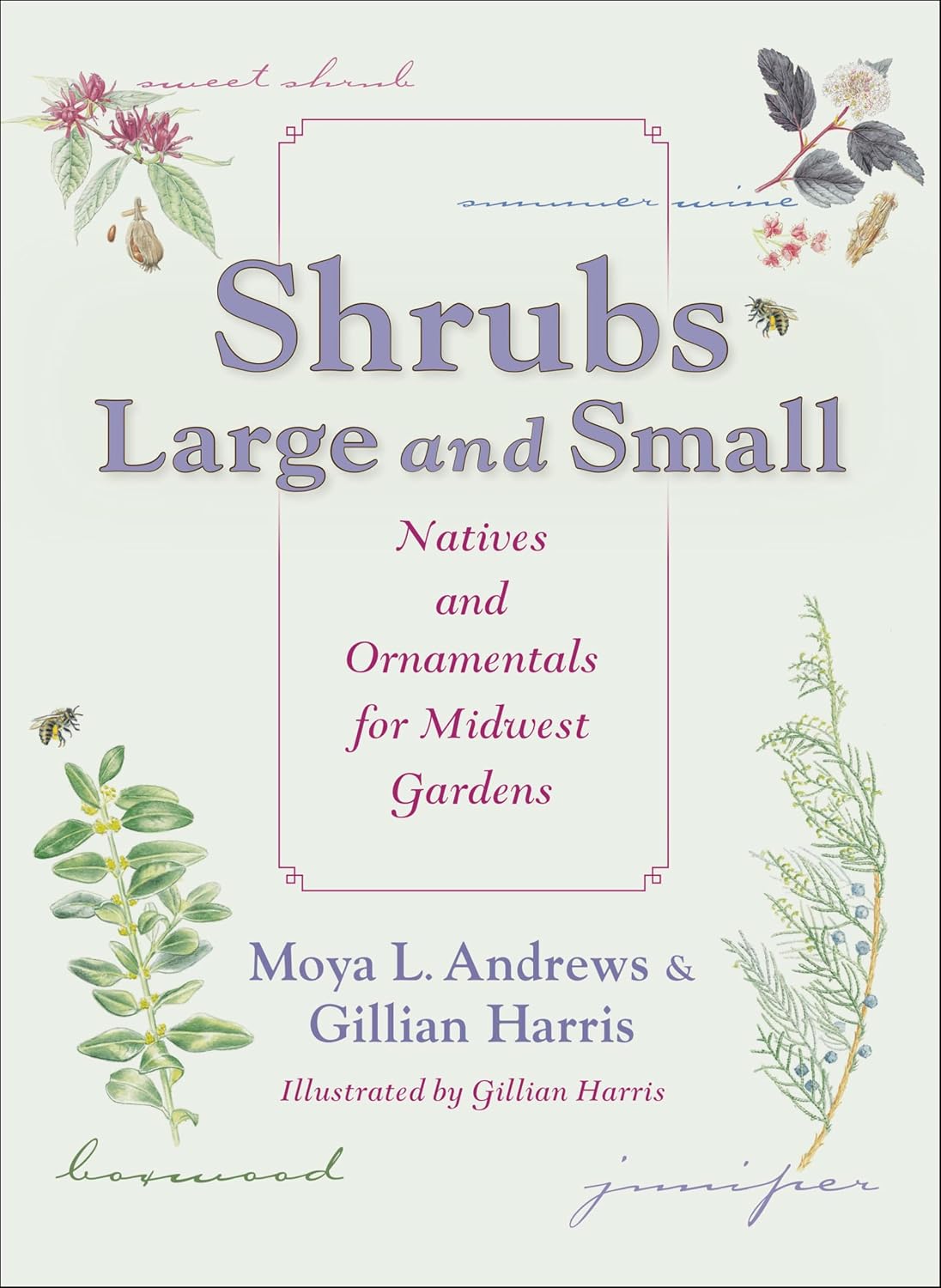 Shrubs Large and Small: Natives and Ornamentals for Midwest Gardens (English Edition) baixar o livro de graça
