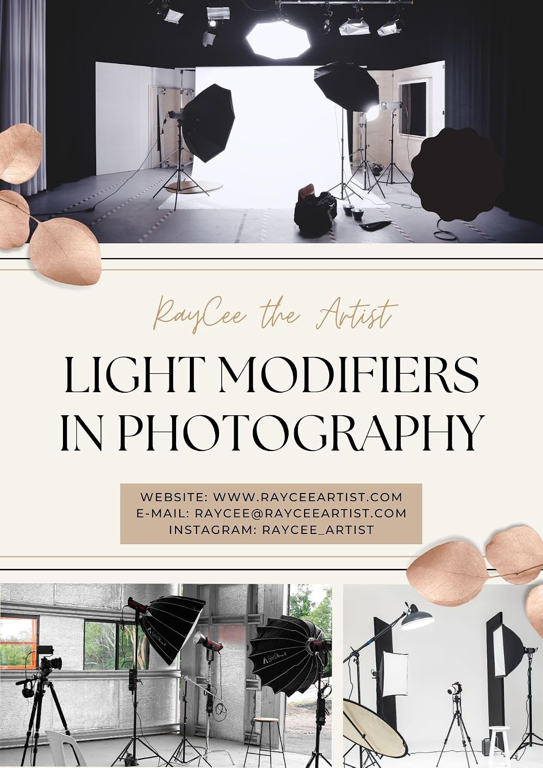 ler totalmente Light Modifiers in Photography (English Edition)