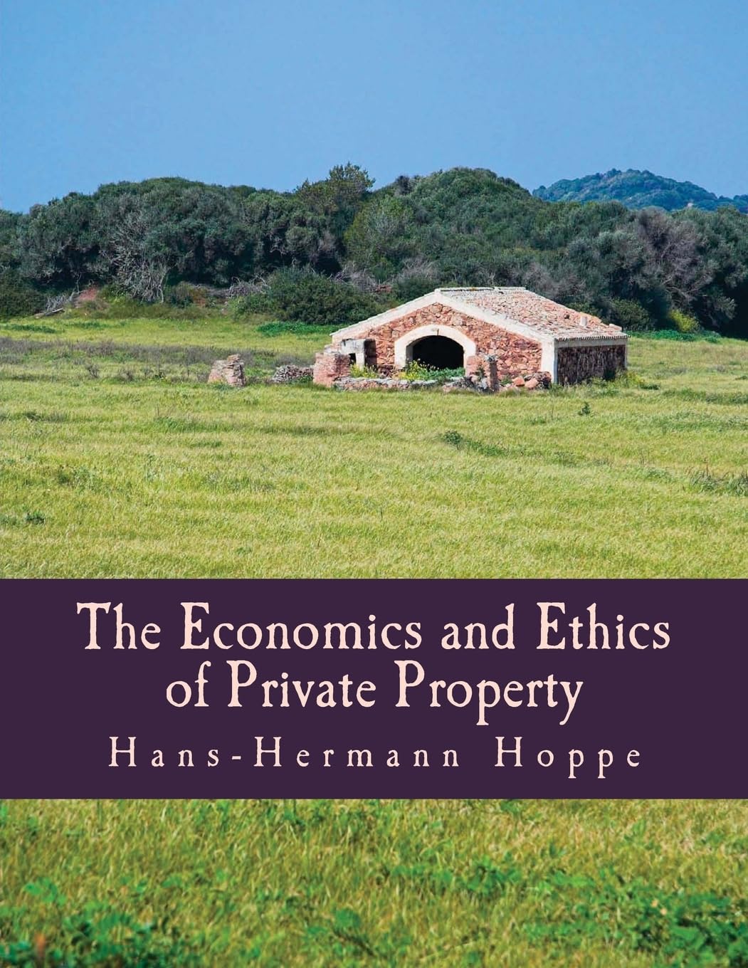 The Economics and Ethics of Private Property (Large Print Edition) baixar livro de graça