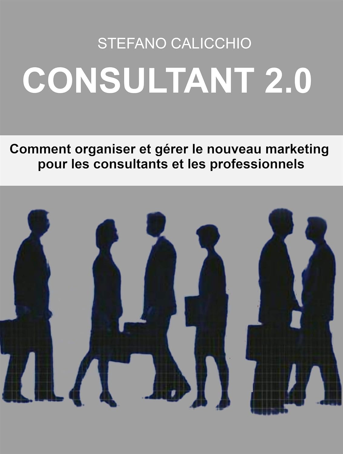Consultant 2.0: Comment organiser et gérer le nouveau marketing pour les consultants et les professionnels (French Edition) baixar o livro de graça