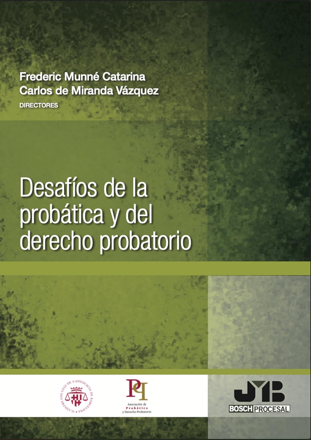 Desafíos de la probática y del derecho probatorio (Spanish Edition) baixar livro de graça