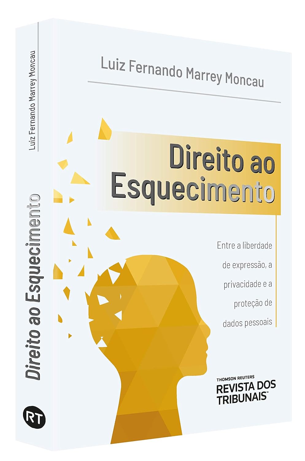 Direito Ao Esquecimento baixar livro de graça