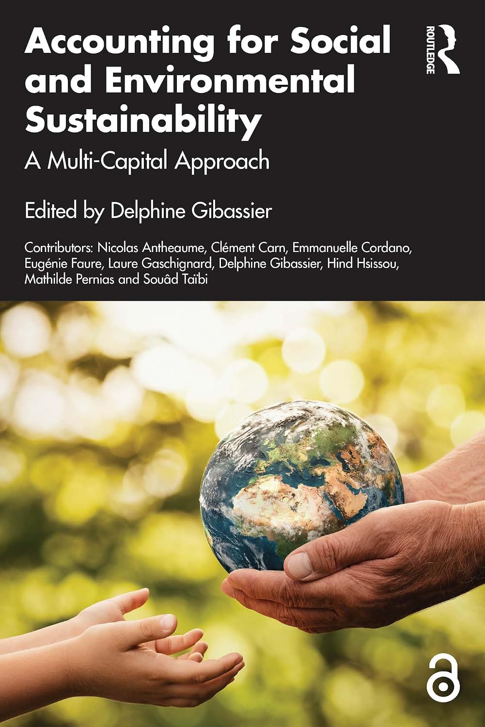 ler totalmente Accounting for Social and Environmental Sustainability: A Multi-Capital Approach (Routledge Studies in Accounting) (English Edition)