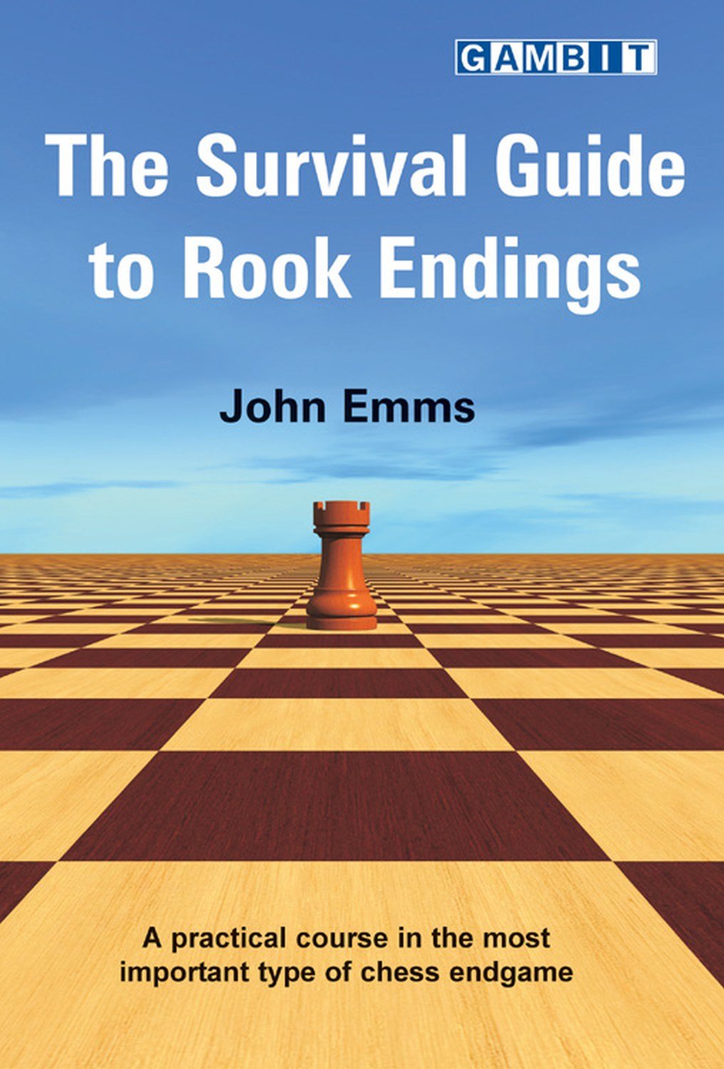 capítulo por capítulo baixar The Survival Guide to Rook Endings (Chess Endings) (English Edition)