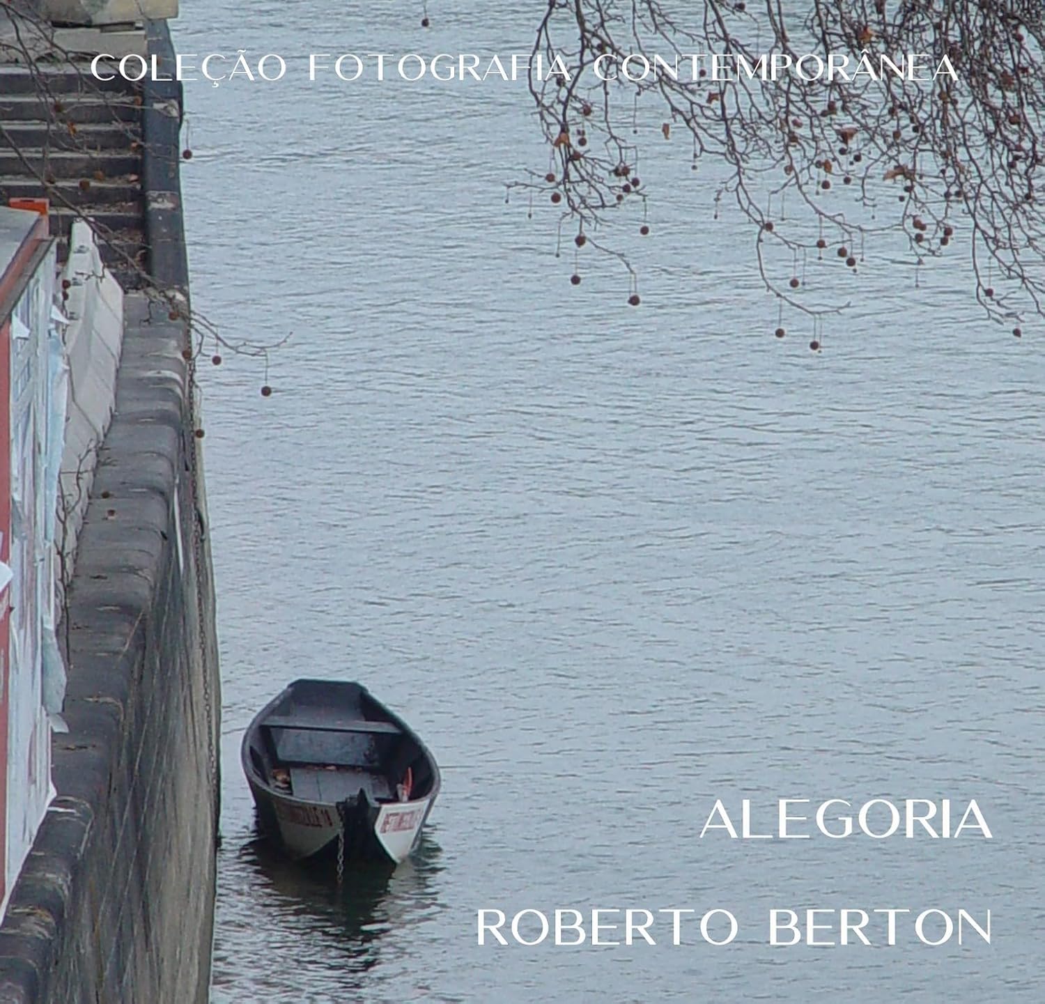 ler totalmente Alegoria (Coleção Fotografia Contemporânea)