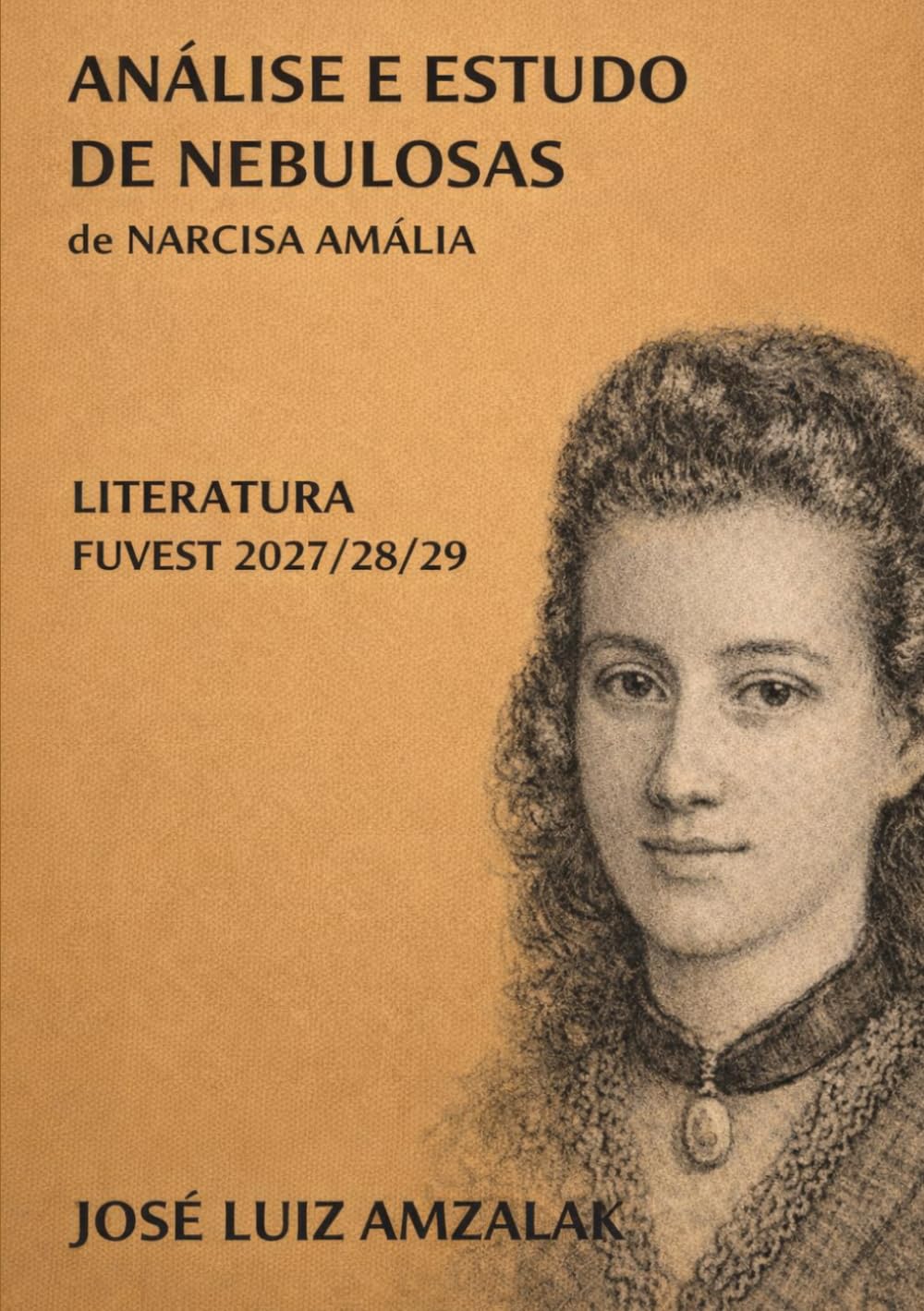 capítulo por capítulo baixar ANÁLISE E ESTUDO DE NEBULOSAS de Narcisa Amália: Literatura Fuvest 2026 (Portuguese Edition)