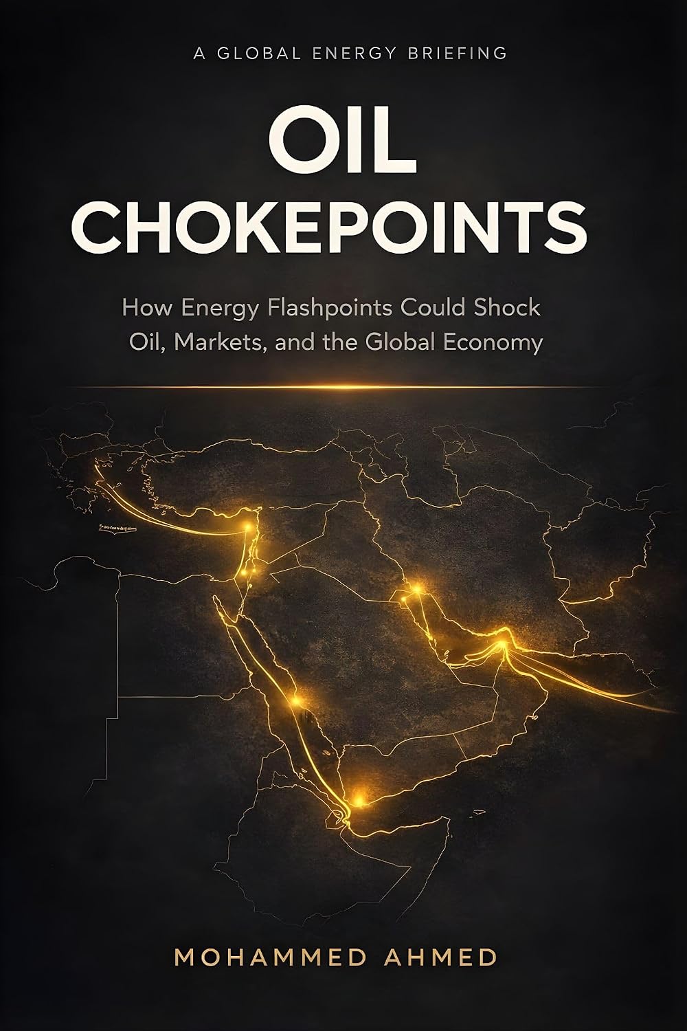 Oil Chokepoints: How Energy Flashpoints Disrupt Oil, Markets, Gold, and Crypto in Global Crises (Global Crisis Investing Series Book 9) (English Edition) baixar livro de graça
