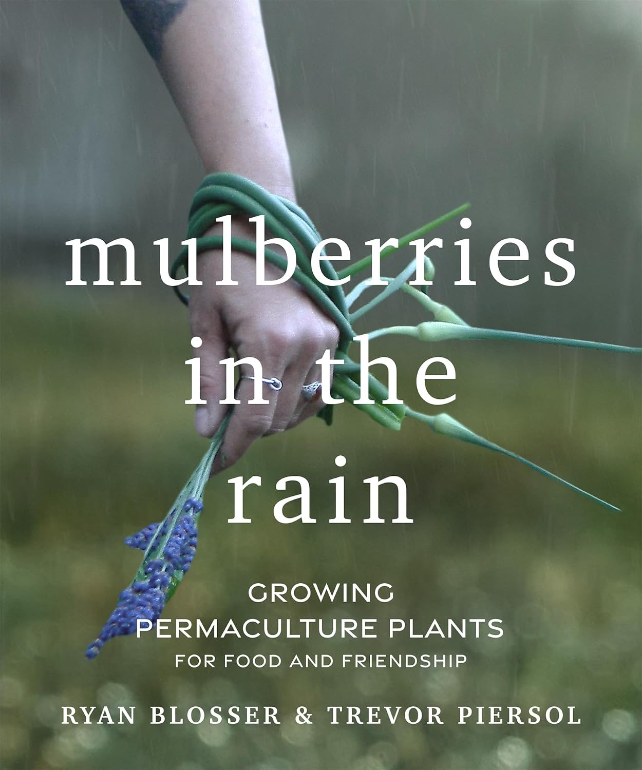 ler totalmente Mulberries in the Rain: Growing Permaculture Plants for Food and Friendship (English Edition)