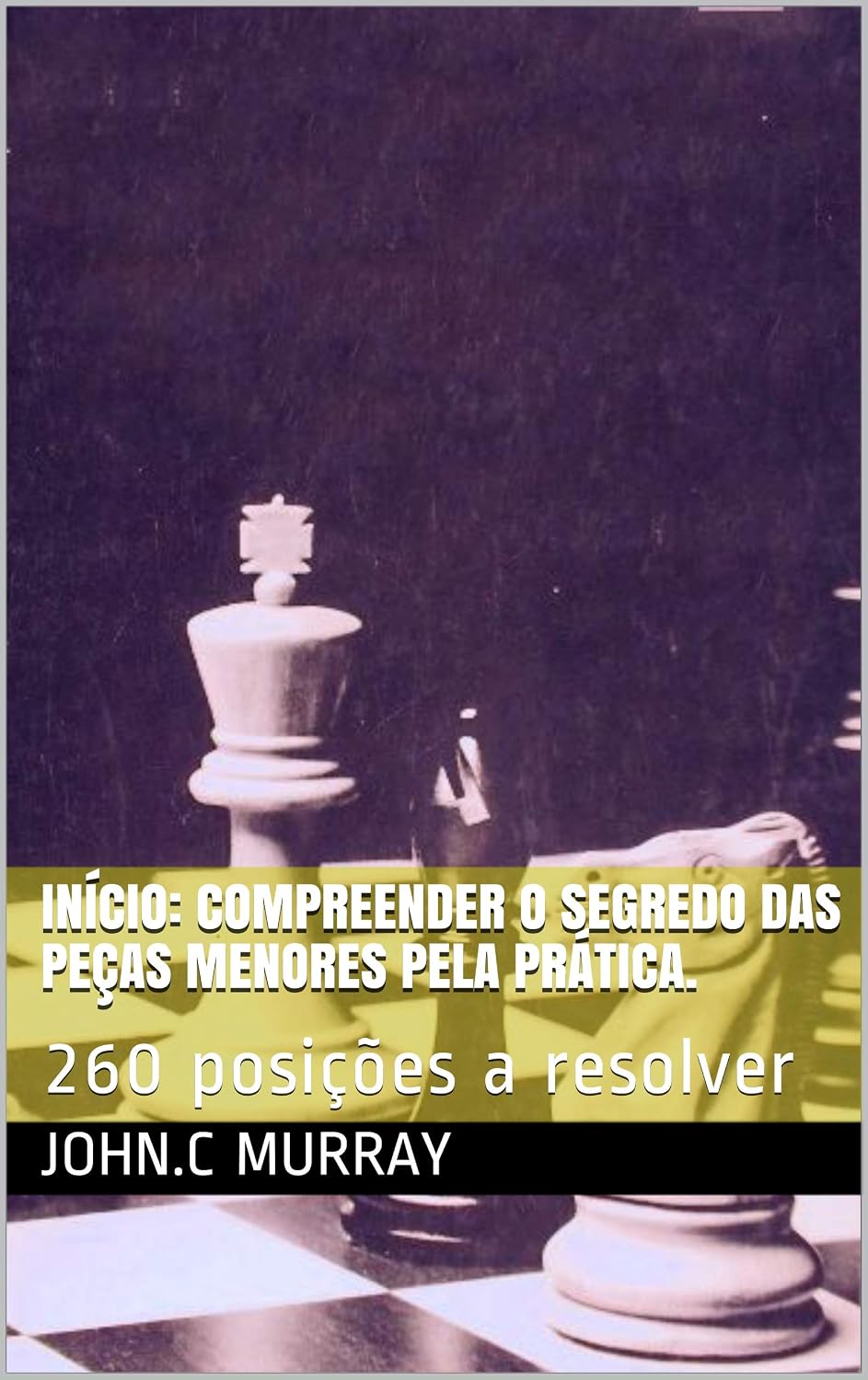 Início: Compreender o segredo das peças menores pela prática.: 260 posições a resolver baixar livro de graça