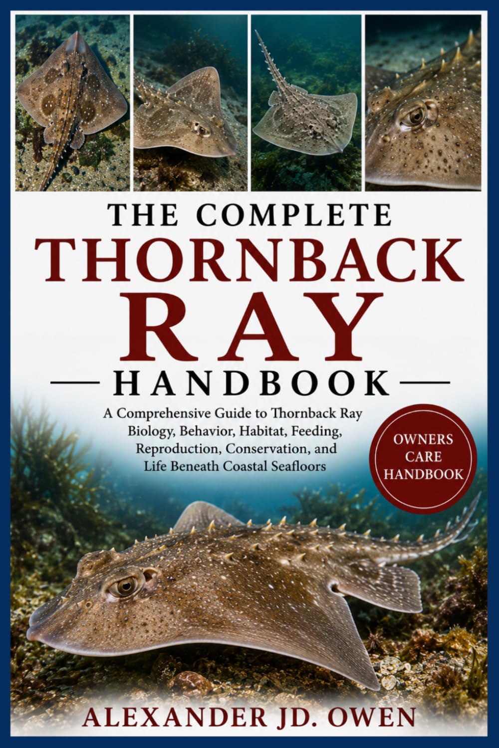 ler totalmente The Complete Thornback Ray Handbook: A Comprehensive Guide to Thornback Ray Biology, Behavior, Habitat, Feeding, Reproduction, Conservation, and Life Beneath Coastal Seafloors