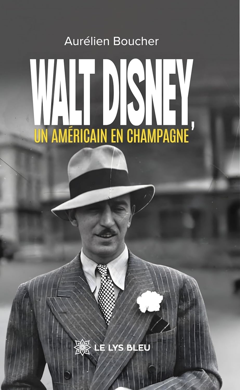 Walt Disney, un Américain en Champagne (French Edition) baixar o livro de graça