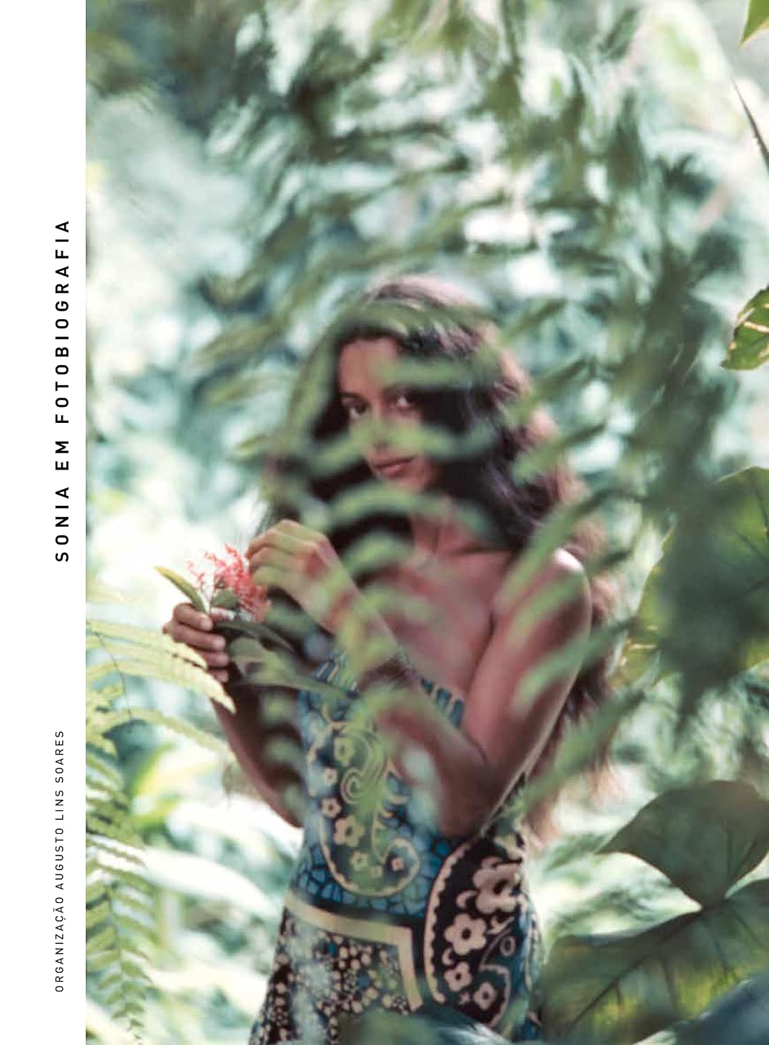 Sonia em fotobiografia baixar o livro de graça